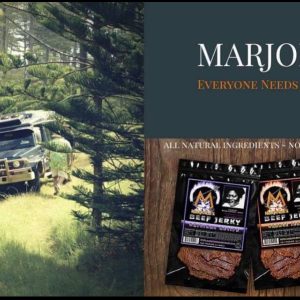 WhatsApp Image 2024-06-12 at 3.19.35 PM